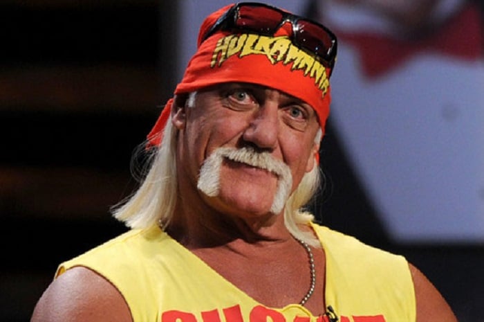 Hulk Hogan Set For Role In New WWE Studios Comedy With David Hasselhoff ...