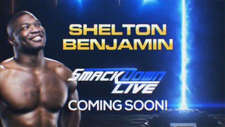 shelton bejamin