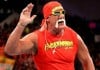 hulk hogan