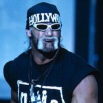 hulk hogan