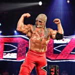 scott steiner