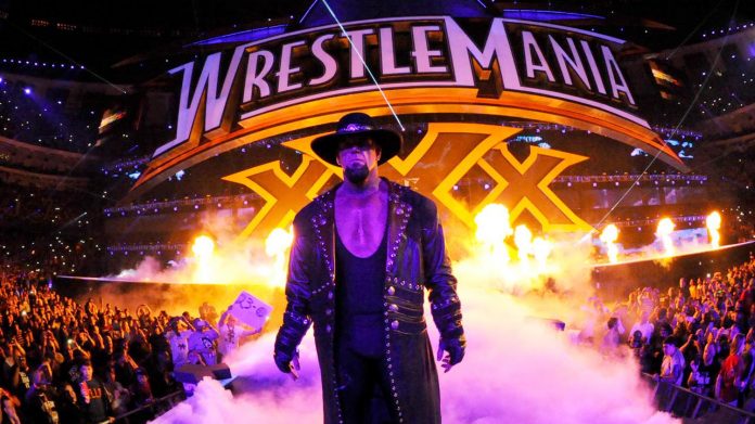 the undertaker