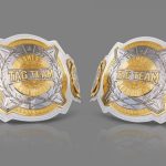 wwe women's tag team titles