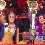 wwe women's tag team titles