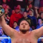 samoa joe