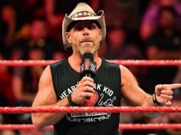 shawn michaels