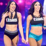 the iiconics