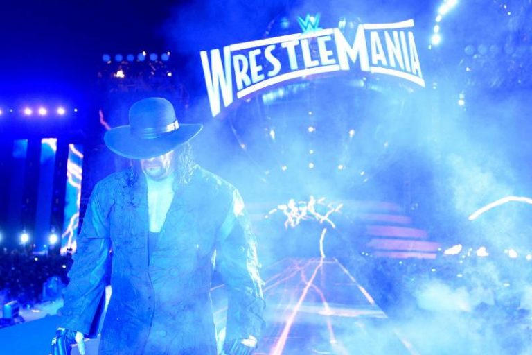 the undertaker