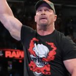 steve austin