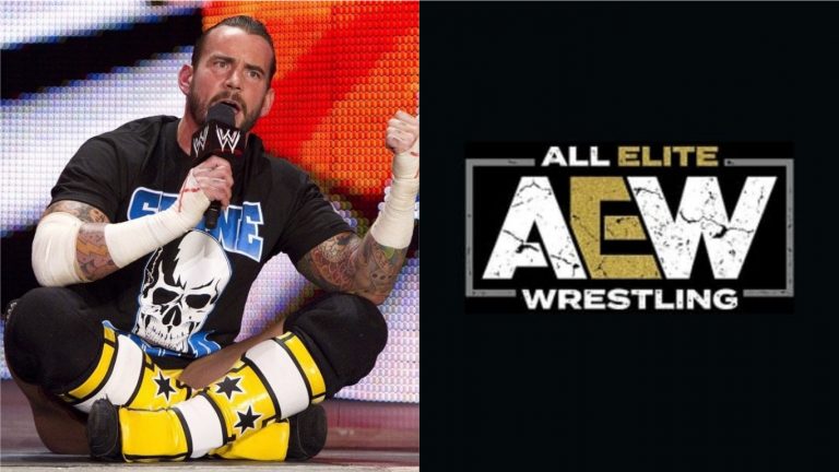 cm punk