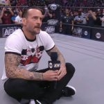 cm punk