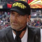 shawn michaels