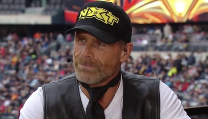 shawn michaels