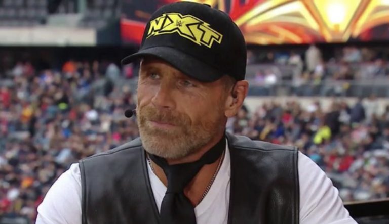 shawn michaels