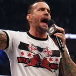 cm punk