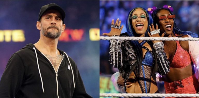 cm punk