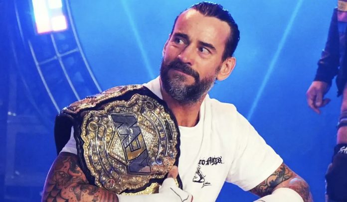 cm punk