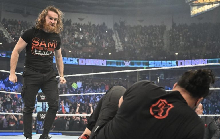 sami zayn