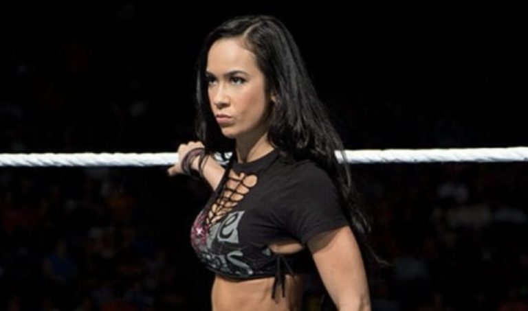 Statement Issued On AI Video Of AJ Lee Kissing Fan