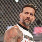 cm punk