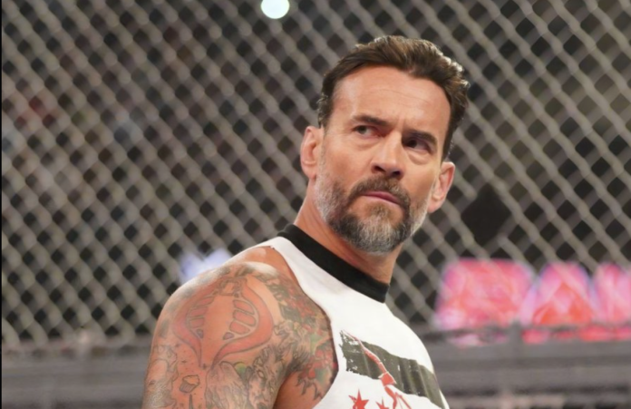 cm punk