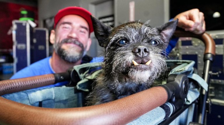 CM Punk Announces The Passing Of His Dog Larry