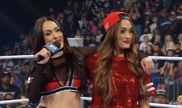the bella twins