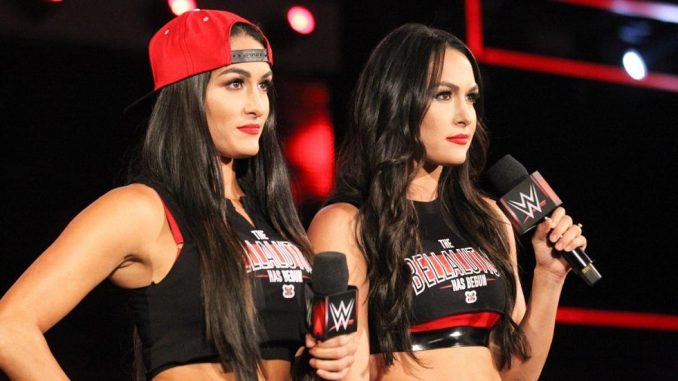 the bella twins