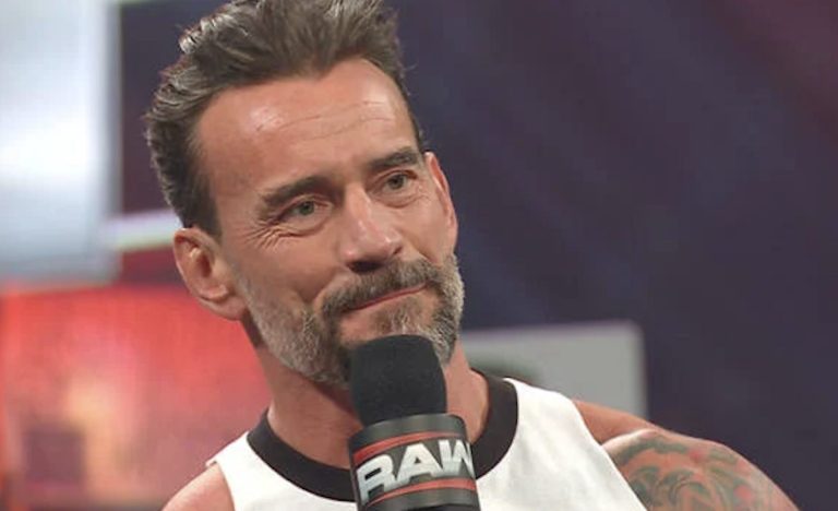 cm punk